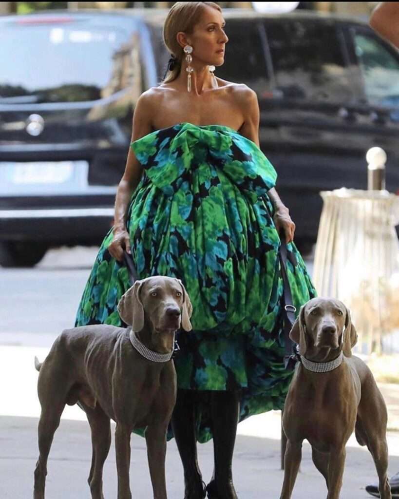 När Dog Celine Dion