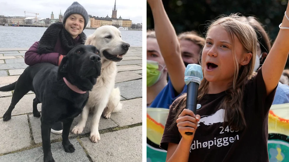 Greta Thunberg Inkomst