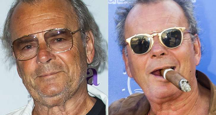 Steffo Törnquist Förmögenhet