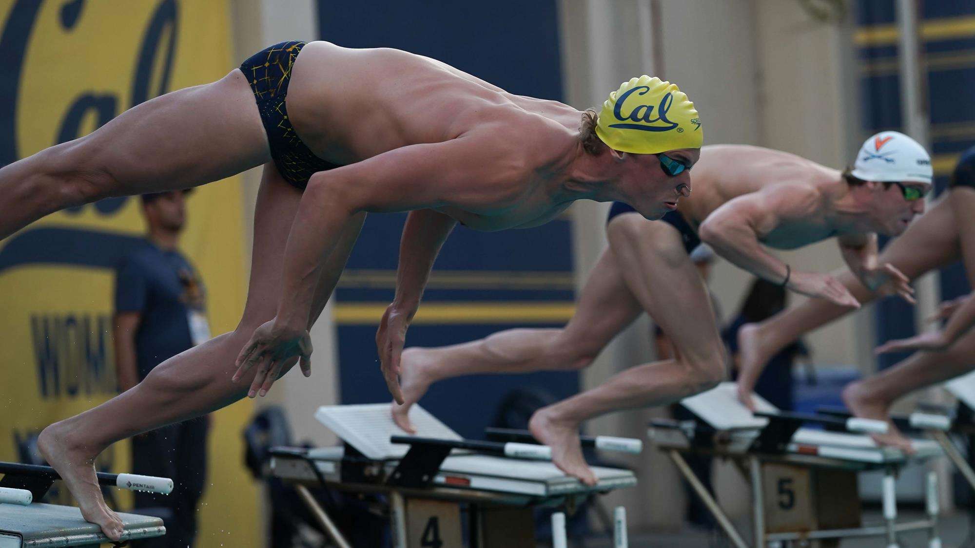 Björn Seeliger Längd